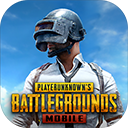 beta pubg mobile国际服体验服