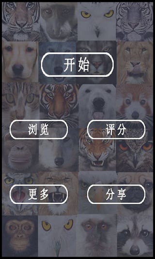 变脸相机app