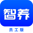 智保养车app