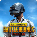 PUBG亚服手游