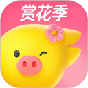 阿里旅行app