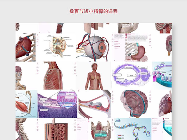 解剖和生理学安卓版