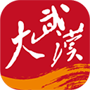 大武汉app