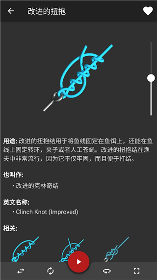 Knots 3D最新版