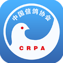 中国信鸽协会app最新版