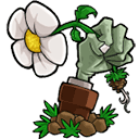 植物大战僵尸lz重制版手机版