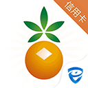 九台农商银行信用app