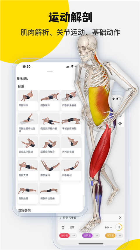 3dbody人体解剖学app免费下载