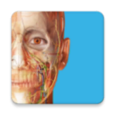 atlas人体解剖软件2025