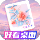 好看桌面app