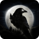 night crows夜鸦