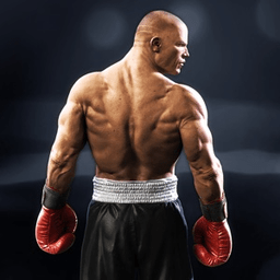 正版真实拳击2洛奇(real boxing2)