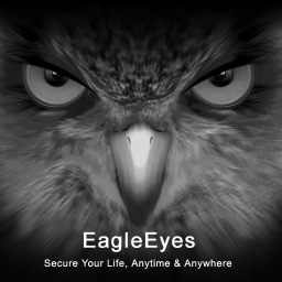 线上考试鹰眼监控系统(EagleEyes)