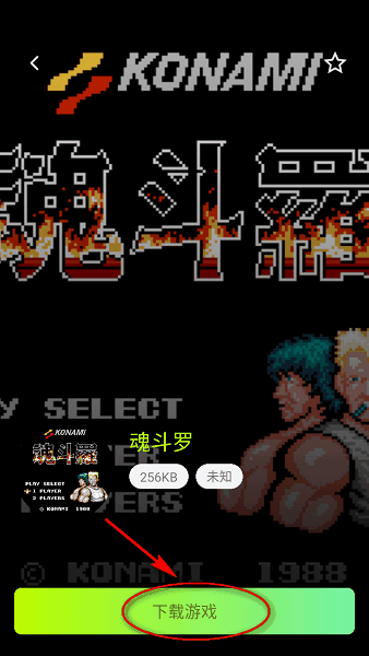 飞鸟模拟器官方正版下载