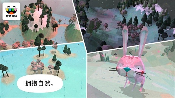 托卡自然游戏