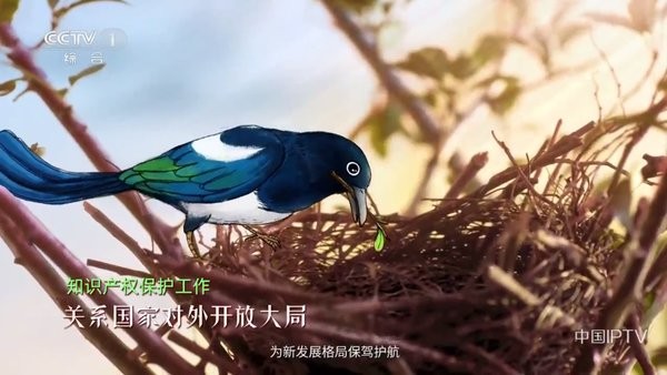 乐看直播tv最新版下载