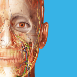 human anatomy atlas 中文版2025