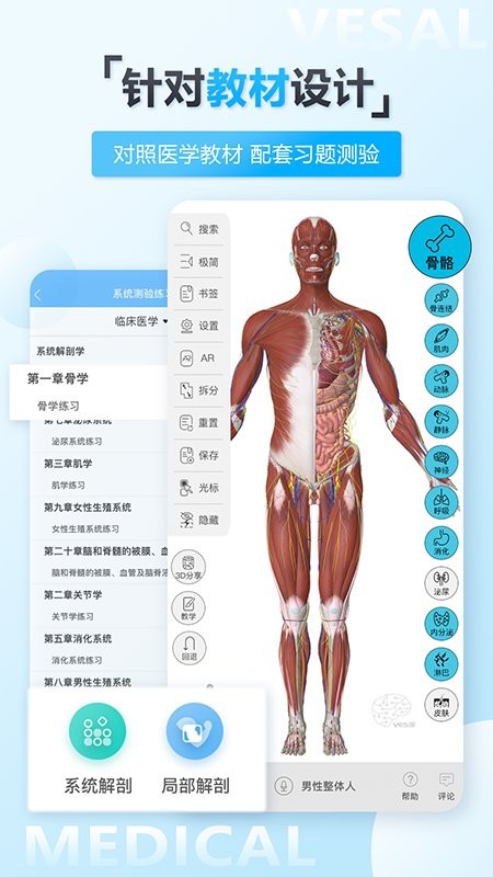 维萨里3d解剖app