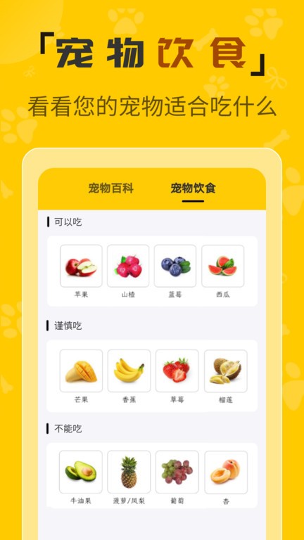 人猫翻译机软件 人猫翻译机免费版