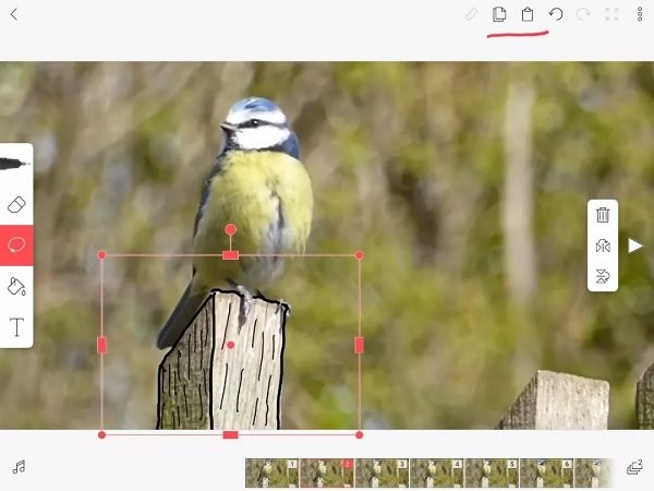 flipaclip官方正版