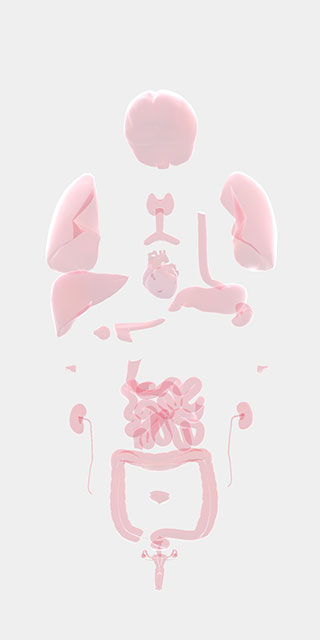 life生命模拟器安卓下载