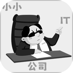 小小IT公司官方版