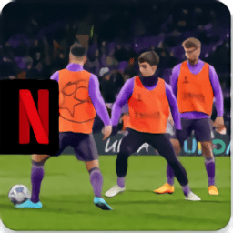 fm足球经理2024手机版(fm24 mobile)