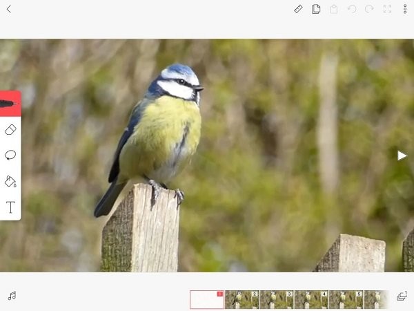 flipaclip动画制作中文