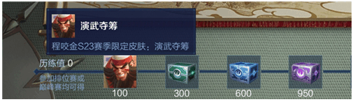 王者体验服 王者体验服