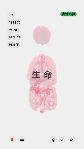 生命人体模拟器 生命人体模拟器下载