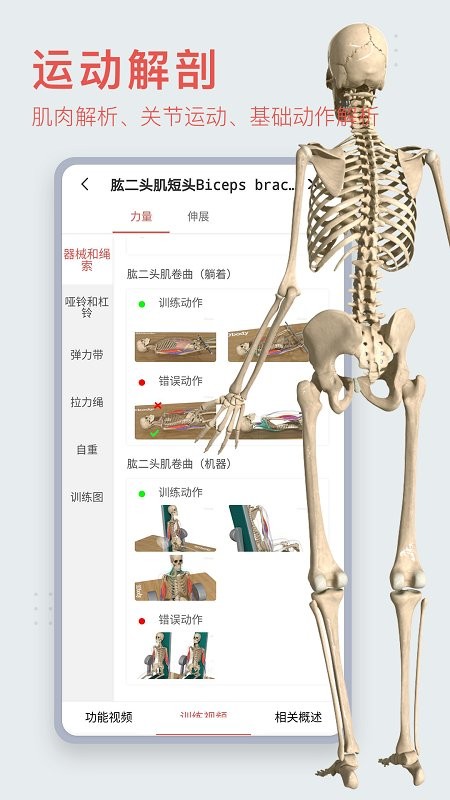 3dbody解剖图手机版 3dbody人体解剖学app