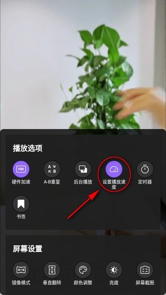 kmplayer官方安卓版