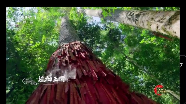 酷兴TV新版软件