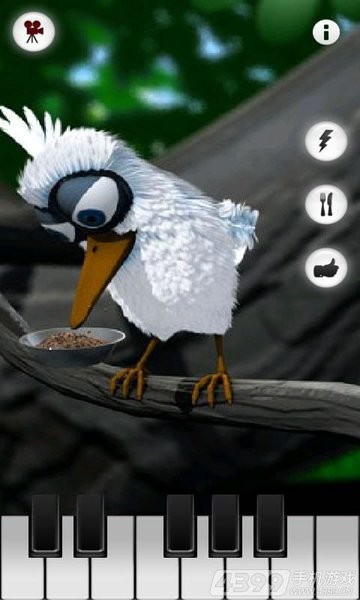 会说话的拉里鸟游戏