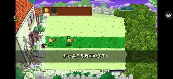 植物大战僵尸ikun大战小黑子 植物大战僵尸ikun版