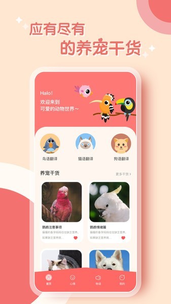 鹦鹉翻译器软件 鹦鹉翻译器手机版