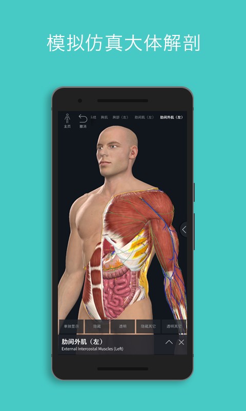 complete anatomy apk