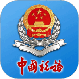 河南省电子税务局手机版