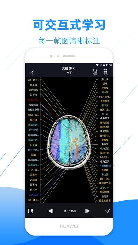 影像解剖图谱app