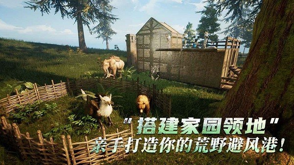 黑光生存进化游戏