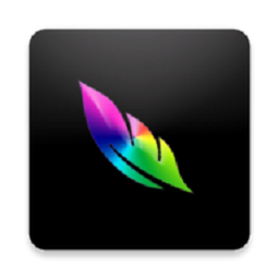 med绘画app