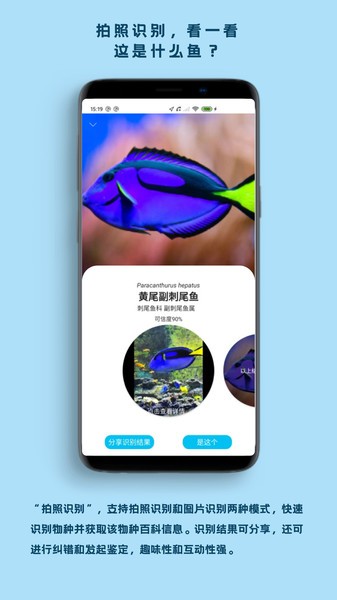 看鱼官方版 看鱼app