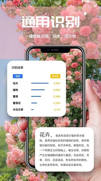 ai扫描君软件 ai扫描君app