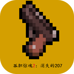 孤胆惊魂2消失的207游戏