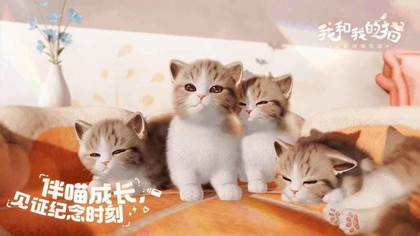 我和我的猫手游 我和我的猫游戏