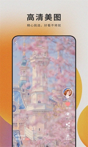 萌猫桌面壁纸下载