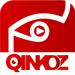 qinkoz软件安装免费