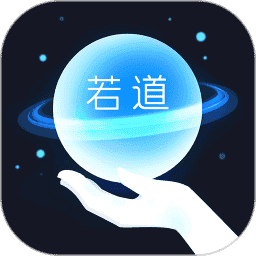 若道软件