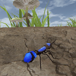 丛林抵御战游戏