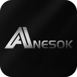 anesok内窥镜程序